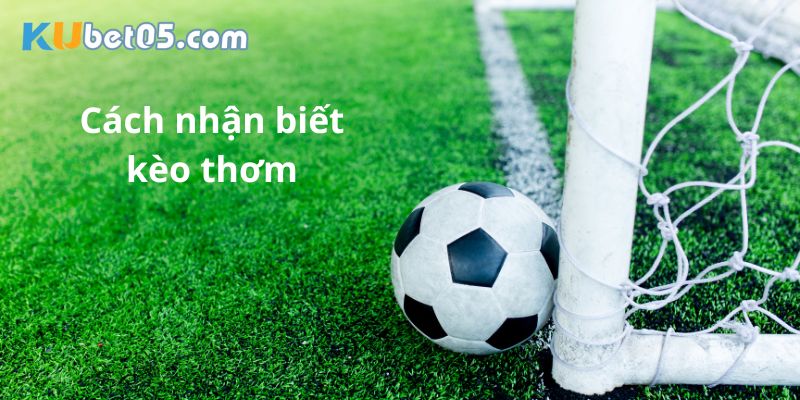 Top 5 cách nhận biết kèo thơm là gì hiệu quả nhất Top 5 cách nhận biết kèo thơm là gì hiệu quả nhất
